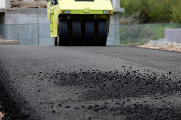 Best Driveway Pavers Near Me  in Washington, NC