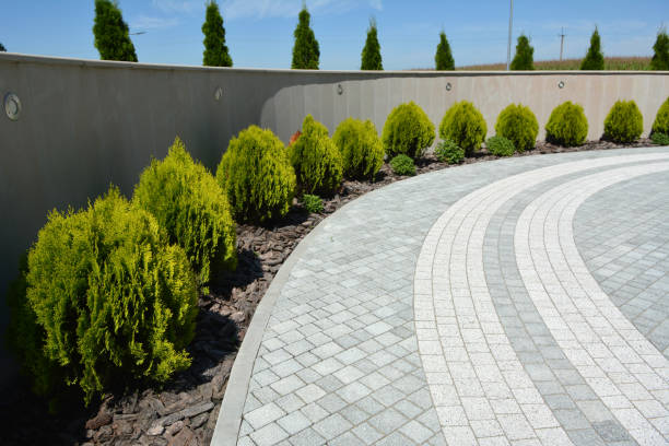 Best Brick Driveway Pavers  in Washington, NC